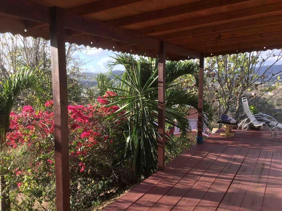 New- Rodney Bay Two Bedrooms Best View 6 Gros Islet Exterior foto